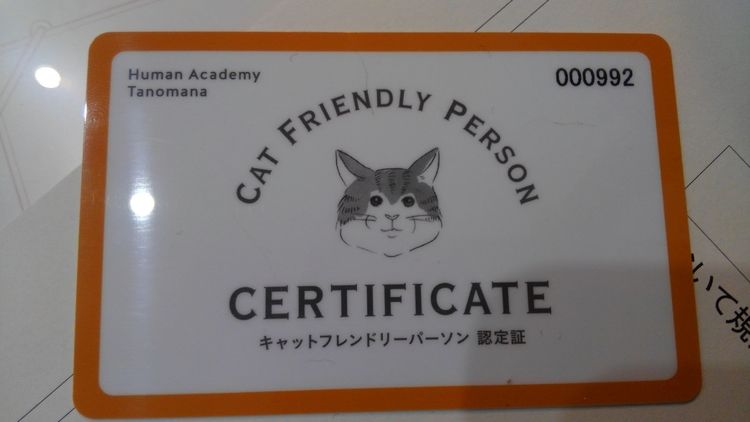 CAT FRIENDLY PERSON