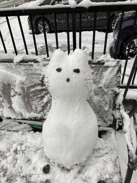 雪ダルマがいびつな丸になり、猫ダルマになりました、、、
