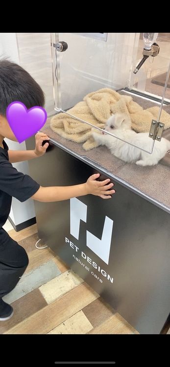 わんちゃんと息子