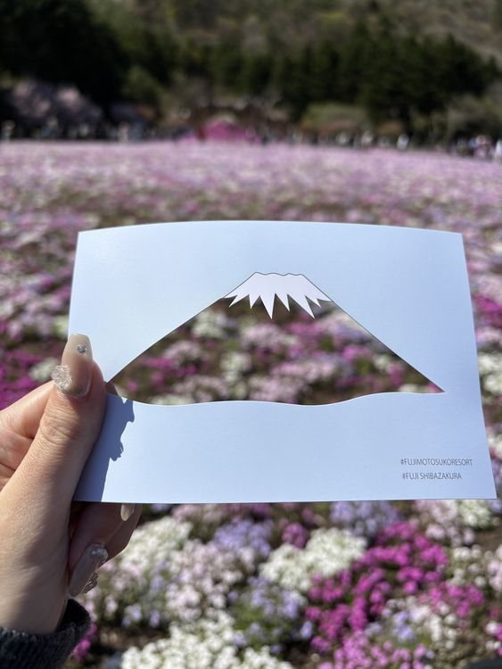 芝桜へ(`･ω･´)b