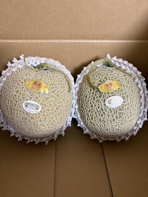 メロン(`･ω･´)b