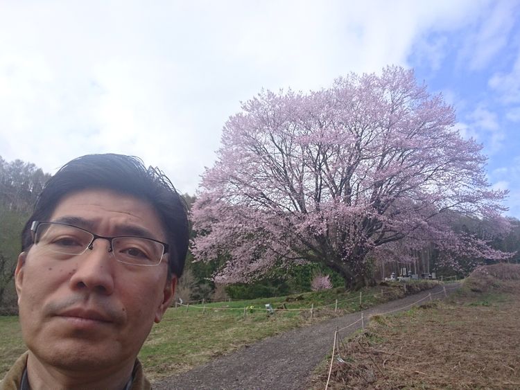 5月2日GWのお休みに群馬県片品村の天王桜を見て来ました！